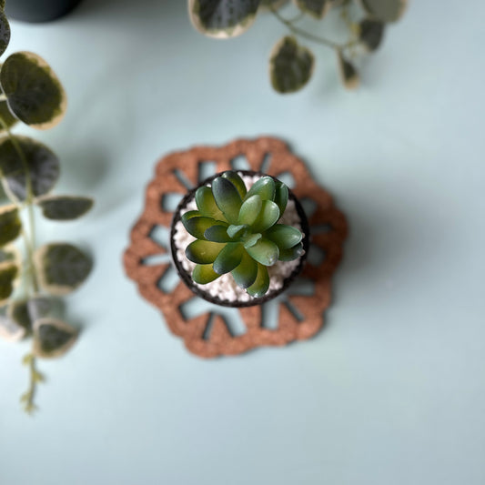 Small green succulent plant in a decorative pot on a trivet with leaves in the foreground.