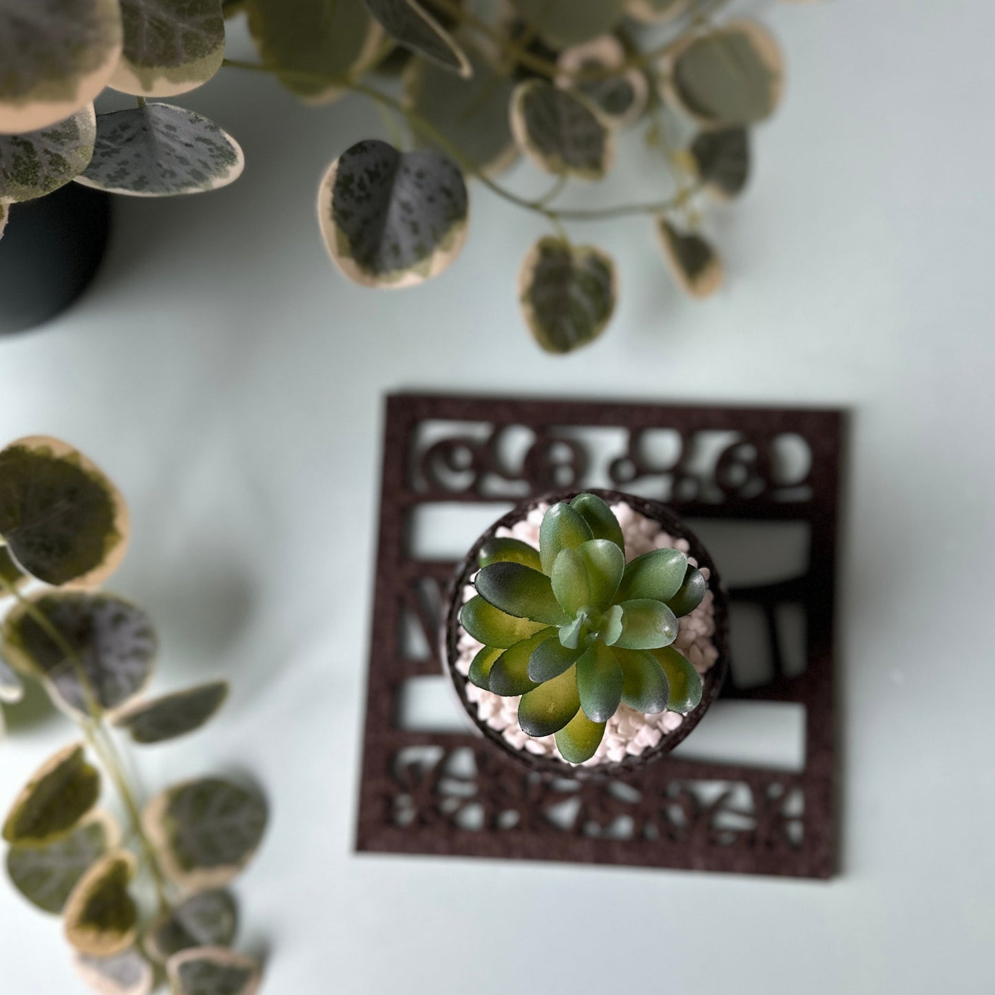 Small succulent plant in a decorative pot on a trivet with a blurred background