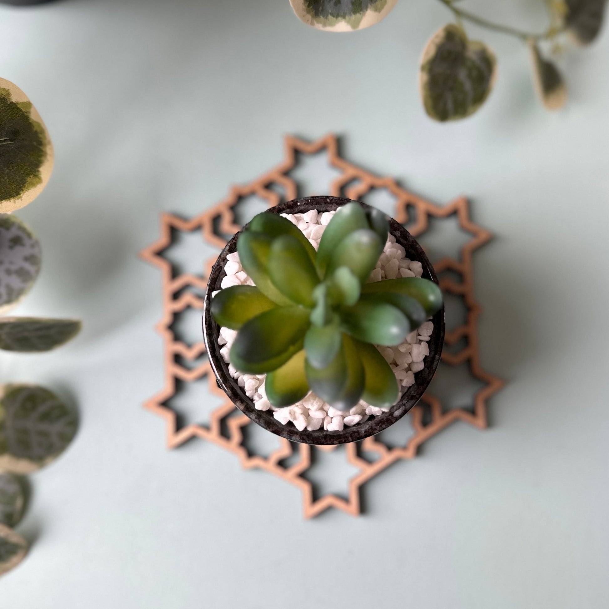 Small succulent plant in a decorative pot on a trivet with leaves in the background
