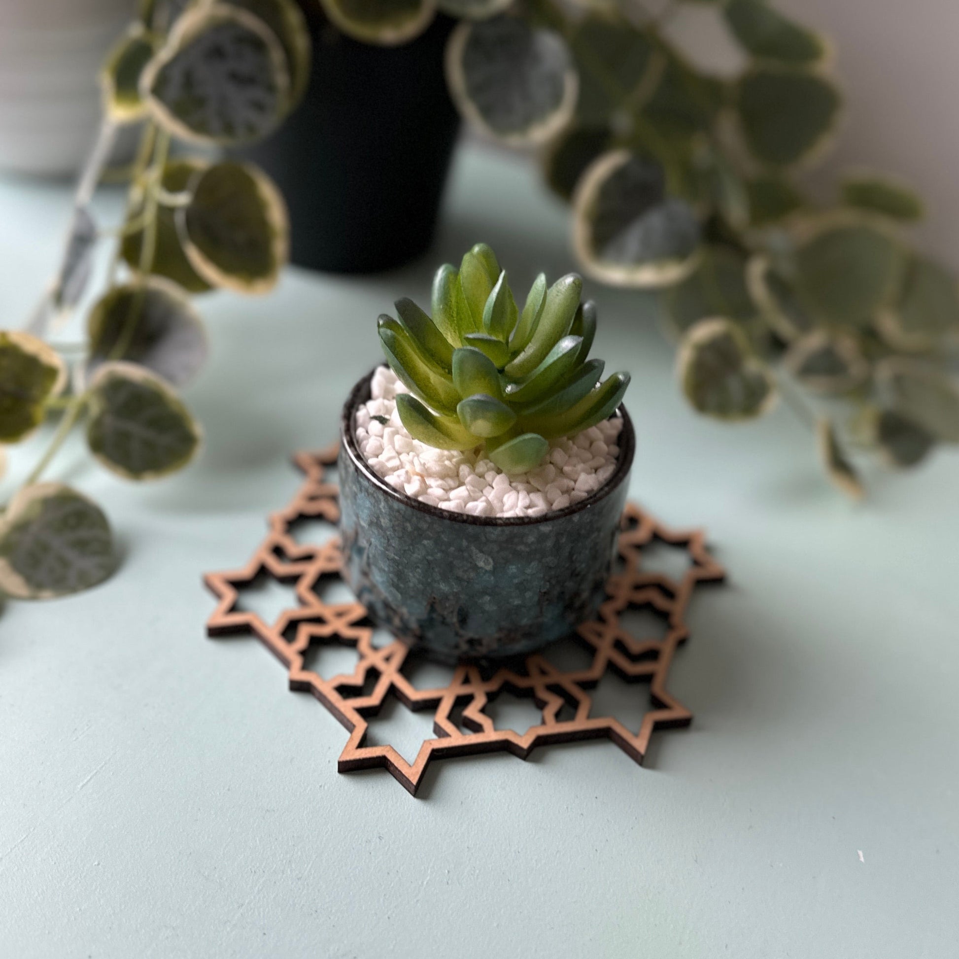 Small succulent plant in a decorative pot on a trivet with blurred greenery in the background.
