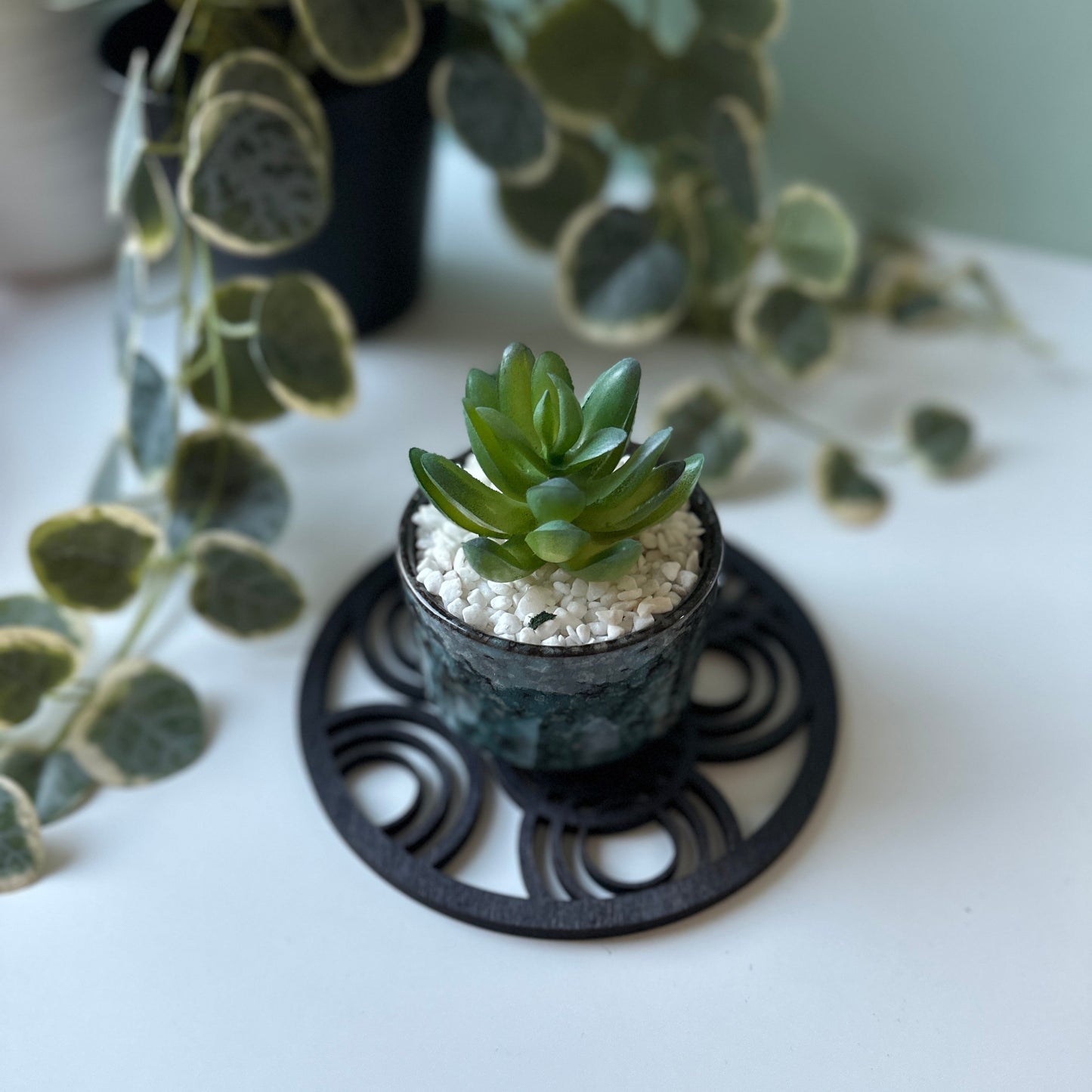 Small succulent plant in a pot on a decorative trivet with a blurred plant in the background.